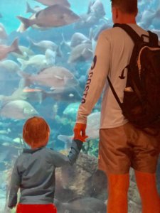 Atlantis, Aquaventure, Bahamas, Paradise Island, Shark Tank, family friendly, beach vacation, destination, bucket list, 