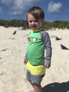 Bahamas, bucket list, adventure, tours, beach, paradise, swimming with the pigs, swimming pigs, Exuma, swimming with sharks, nurse sharks, shark dive, island, beach, best beaches, Carribean